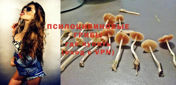 дурь Алексин