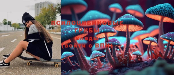 дурь Алексин