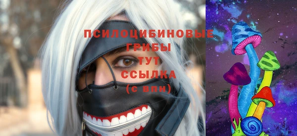 дурь Алексин